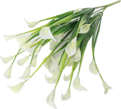 Produktbild von 1 Bouquet 5 Zweige künstliche Calla Lilie Blume Hochzeitstisch Pflanze Wohnkultur-Weiß