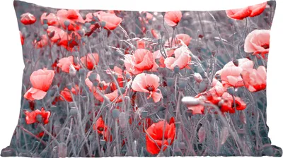 Produktbild von MuchoWow® Zierkissen Sofakissen Wohnzimmer Dekokissen 50x30 cm Rote Mohnblumen in einem Schwarz-Weiß-Bild - Wohnzimmerdekoration - Polster mit Photo