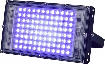 Immagine prodotto di Proiettore a LED UV da 100 W, lampada a luce nera 395-400 nm, IP65 con spina