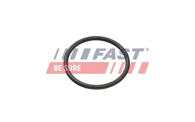 Produktbild von FAST Dichtring Kühlmittelschlauch FT49935 für CITROËN BERLINGO (B9)