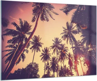 Produktbild von Bilder auf glas - Einteilig - Palmen Himmel Sonne - 100x70cm - Glasbilder - Wandbilder - Bilder - zum Aufhängen bereit - Wanddekoration aus Glas - Glas Bilder - Wandbild auf Glas - GAA100x70-4220