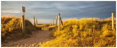 Produktbild von Wallario Wandbild aus Acryl, 200 x 80 cm, freischwebende Optik - Düne am Strand bei Sonnenuntergang in Frankreich