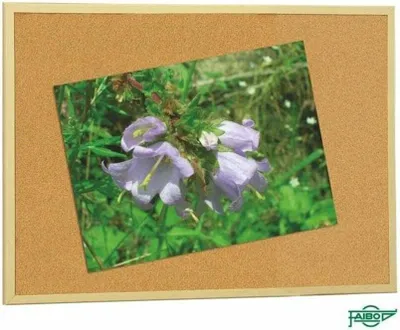 Image de Plaque de liège Faibo 40 x 60 cm (5 pièces)