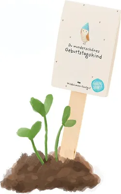 Image de Cadeau floral « Joyeux anniversaire » – Cadeau d'anniversaire à planter contenant des graines de fleurs – Cadeau floral durable à planter
