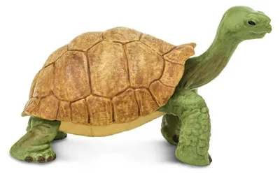 Obrázek produktu pro Safari Ltd 272529 Fiurka Velká želva