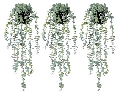 Produktbild von Künstliche Hängepflanzen aus Eukalyptus, für Wand, Zimmer, Zuhause, Terrasse, Innen- und Außenbereich, 3 Stück