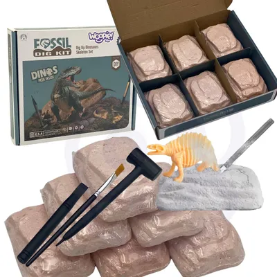 Produktbild von Woopie Ausgrabungsset 6-in-1 Dinosaurierskelett „Kleiner Archäologe“, 6-teilig