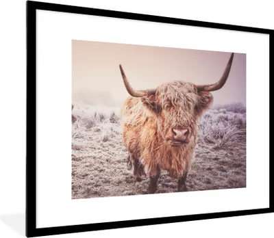 Produktbild von MuchoWow® Gerahmtes Poster Schottische Hochlandbewohner - Licht - Himmel - Natur 80x60 cm - Poster mit Schwarzem Bilderrahmen Wandposter Rahmen Foto Bilder - Schlafzimmer-Dekorationen - Fotoposter