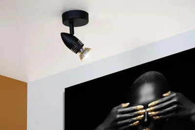 Imagen del producto de Lámpara de pared o techo, color , modelo CARO, 1 foco GU10, 5W, marca Lucide