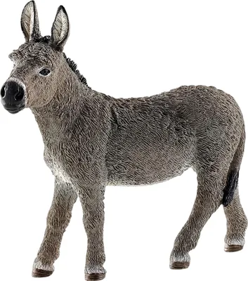 Produktbild von Schleich, Farmlife Esel-Figur in einer natürlichen und forschenden Haltung, Bunt