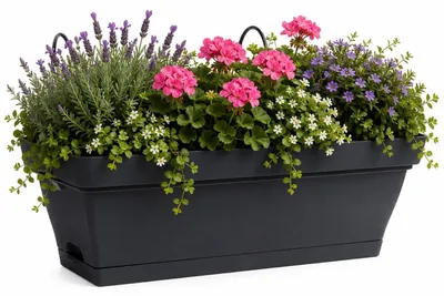 Produktbild von EDA Romeo Balkon - Blumentopf / Pflanzkubel - Kunststoff - Anthrazit - 28 x 19 x 13 cm - mit Aufhang