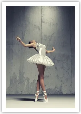 Produktbild von Poster - Poster ohne Rahmen - Ballerina Weiß Wand - 70x100 cm - Wand Bild - Wanddeko - Wandbilder - Kunstposter - Wandposter - Bilder - Kunstdruck - Wanddekoration - Wandbild - P2XPA70x100-4344