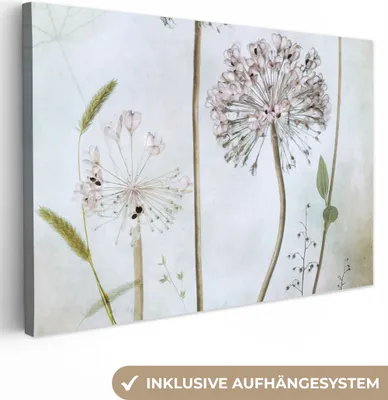 Zdjęcie produktu dla MuchoWow® - Obraz na płótnie - Kwiaty - Cebula dekoracyjna - Martwa natura - Rośliny, obraz na ścianę, obrazy dekoracyjne do salonu, 30x20cm