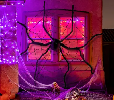Immagine prodotto di Ragno gigante - Decorazione per la stanza di Halloween