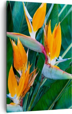 Produktbild von Bild auf Leinwand - Leinwandbild - Einteilig - Himmlisch Vogel Blume - 80x120cm - Wand Bild - Wanddeko - Wandbilder - Leinwanddruck - Wanddekoration - Leinwand bilder - Wandbild - PA80x120-4980