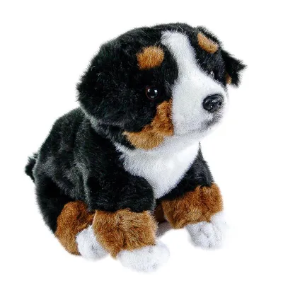 Produktbild von Kuscheltier Berner Sennenhund Welpe sitzend  25 cm