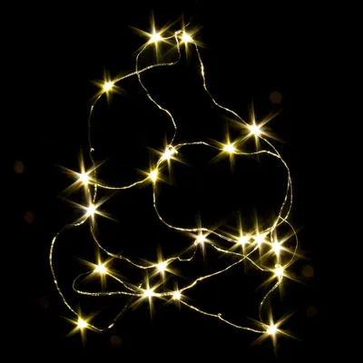 Produktbild von LED Lichterdraht mit 20 warmweißen Micro-LEDs Batteriebetrieben