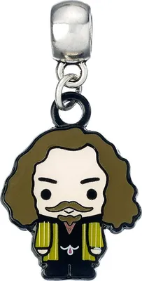 Image de Harry Potter - Charm pendentif Sirius Black