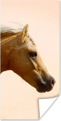 Produktbild von MuchoWow® Poster Pferd - Licht - Luft 20x40 cm - Plakat - Foto