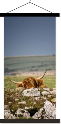 Produktbild von MuchoWow® Textilposter Schottische Hochlandrind - Steine - Gras 90x180 cm mit schwarzem Rahmen - Dekoration Wohnzimmer