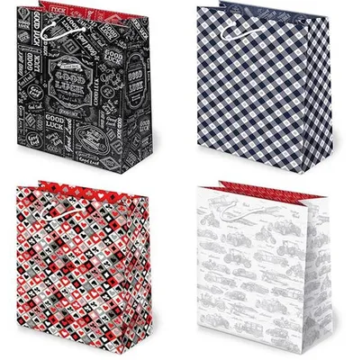 Image de Sacs cadeaux pour hommes 22,5 x 31,5 x 10,8 cm, 10 pièces