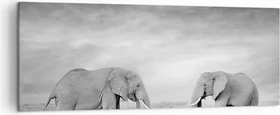 Produktbild von Bild auf Leinwand - Leinwandbild - Einteilig - Elefanten Schwarzweiß Safari - 140x50cm - Wand Bild - Wanddeko - Wandbilder - Leinwanddruck - Bilder - Wanddekoration - Leinwand bilder - AB140x50-4186