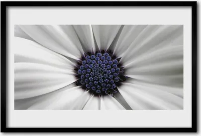 Produktbild von Bild 60x40 MDF-Rahmen Wandkunst Blumen Pflanzen