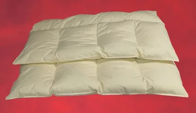 Produktbild von Betten Hofmann 4-Kammer Bettdecke Federbett Steppdecke Winterbett 30% Daunen 155x220 cm 1800g