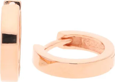 Produktbild von Creolen Silber 925 Roségold plattiert JL10-06-2292 JuwelmaLux
