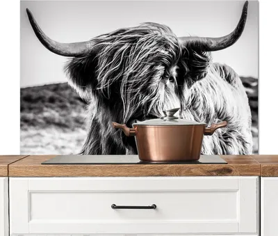 Produktbild von KitchenYeah®  Spritzschutz Küche - Küchenrückwand - Wandschutz für Herd und Spüle - Kuh - Schottisches Hochlandrind - Schwarz - Weiß - Tier - Natur - Wildtiere 100x65 - Alu-Dibond (Alternative zum Spr