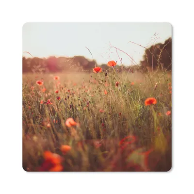 Produktbild von MuchoWow® Mauspad Mousepad Sonnenuntergang - Blumen - Rot 20x20 cm - Mousepads - Maus Mat - Pad - Mausunterlage - Desk Mat - Bureauartikeln