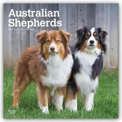 Produktbild von Australian Shepherds 2027 - 16-Monatskalender