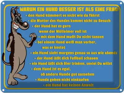 Produktbild von vianmo Blechschild 30x40 cm Warum Hund besser ist als Frau Spruch Zitat