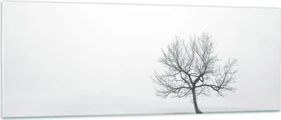 Produktbild von Bilder auf glas - Baum Feld Natur - 140x50cm - Glasbilder - Wandbilder - Kunstdruck - zum Aufhängen bereit - Wanddekoration aus Glas - Glas Bilder - Wandbild auf Glas - Einteilig - GAB140x50-3683