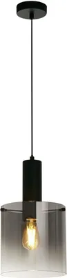 Obrázek produktu pro Závěsné svítidlo kovové kouřové sklo E27 kulaté D: 22 cm V: max. 120 cm černé kouřové šedé retro