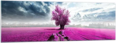Produktbild von Bilder auf glas - Heidefeld Baum Wolken Landschaft - 160x50cm - Glasbilder - Wandbilder - Kunstdruck - zum Aufhängen bereit - Wanddekoration aus Glas - Glas Bilder - Wandbild auf Glas - GAB160x50-2547