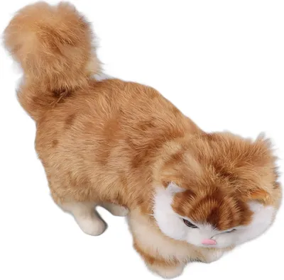 Image de Jouet en peluche simulant un chat, poupée en peluche réaliste et adorable, décoration de la maison