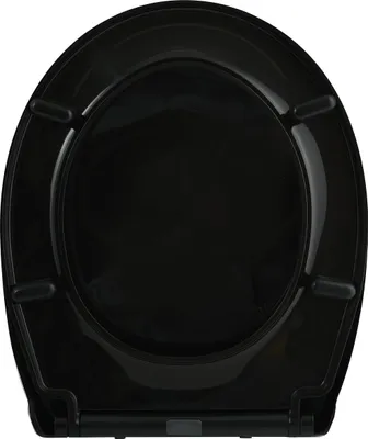 A black toilet seat is shown from a top-down view against a white background.