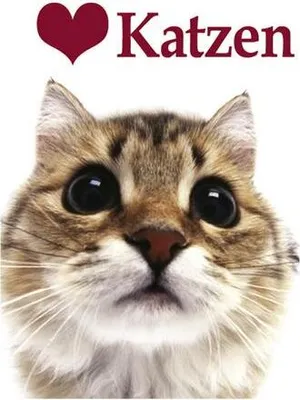 Produktbild von Ich liebe Katzen