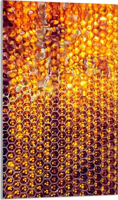 Produktbild von Herdabdeckplatte 30x52 Glaskeramikkochfeld Abdeckung Spritzschutz Glasplatte Deko Schneidebrett, Schwarz Orange