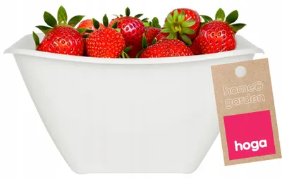 Obrázek produktu pro Hoga Plastová kuchyňská miska 1,9L bílá