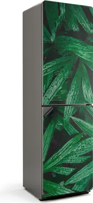 Produktbild von Blätter mit Wassertropfen – Magnetische Kühlschrank Abdeckung – Dekorfolie magnetisch Küche – Kühlschrank Magnet Deko – selbstklebende Magnettafel – Magnetfolie für Kühlschranktür – 60x205 cm
