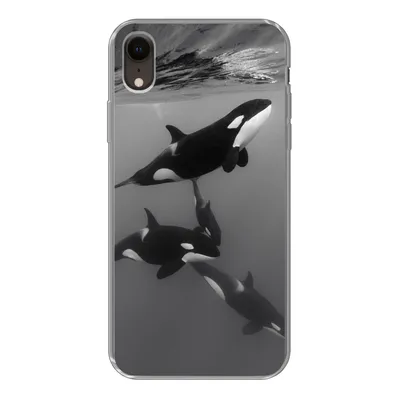 Produktbild von MuchoWow® Handyhülle Schutzhülle Hülle für iPhone XR Orca - Wasser - Schwarz - Weiß Silikon Softcase Handy Hülle - Schutzdeckel