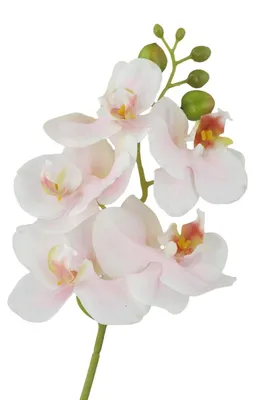 Kunstorchidee Phalaenopsis, 45 cm, hellrosa, 5 Blüten