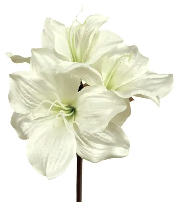 Produktbild von Kunstblume Amaryllis ca. 48cm. 1 Stängel mit 3 Blüten weiß WEISS