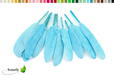 Produktbild von 10 Entenfedern ca. 10-15cm, Farbauswahl:hellblau 311 / babyblau / zartblau