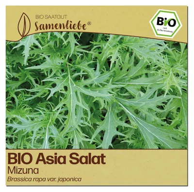 Produktbild von Samenliebe  Asia Salat Samen | Mizuna - winterhart & mild - samenfestes  Saatgut