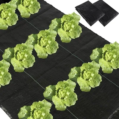 Productafbeelding van Onkruidbeschermingsstof - Bodembedekker Tuinmat - Planten Beschermen - Met Plantgaten - 4 Stuks 100x360cm - Zwart