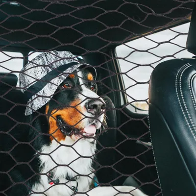 Productafbeelding van Famanu veiligheidsnet voor honden, 100 x 100 cm - zwart