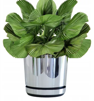Produktbild von Kerd Doniczka Dekor 18cm lustrzany połysk